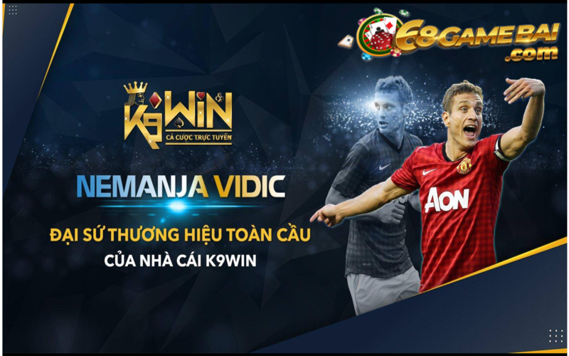 Vị thế thương hiệu của K9win