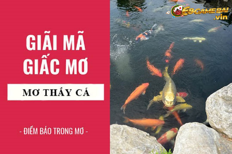 Giải mã giấc mộng thấy các - Điềm lành hay dữ