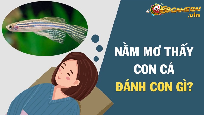 Nằm mơ gặp các thì nên đánh con gì?